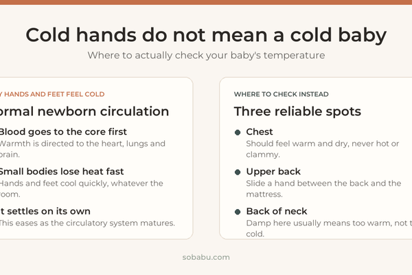 Two-panel guide: why babies' hands and feet feel cold, and the chest, upper back and back of neck to check instead